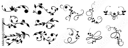 Floral swirl ornament set decorative vintage flourish vector design