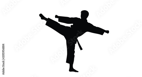 Obraz na płótnie Karate practitioner performing a kick in dynamic pose black silhouette