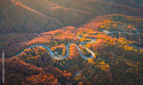 Konstfotografi Top-down drone shot of the winding road winding through the autumn forest in Dom