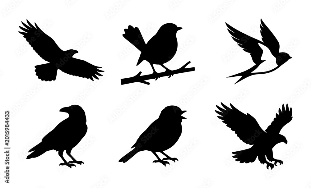 Fototapeta premium Bird Silhouettes Collection: Avian Wildlife Vector Icons for Nature and Freedom Themes