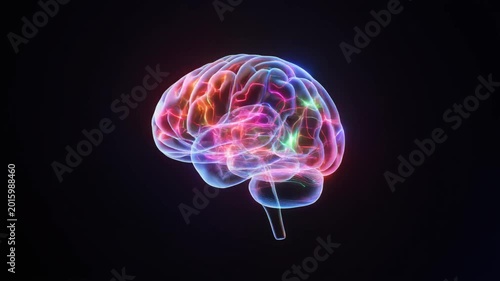 Glowing Digital Human Brain Network Animation