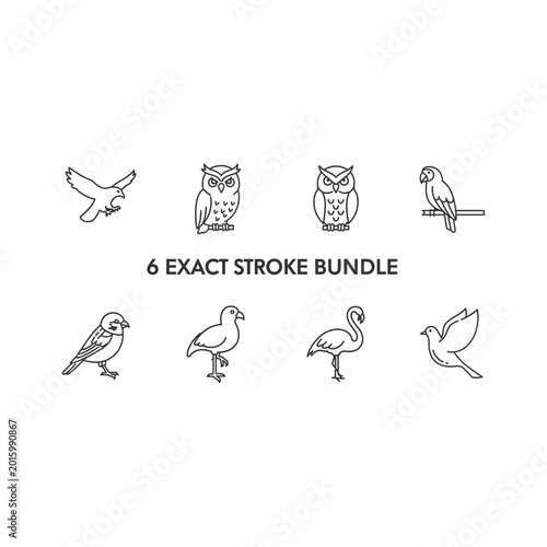 Detailed bird species line art collection bundle with wildlife, collection
