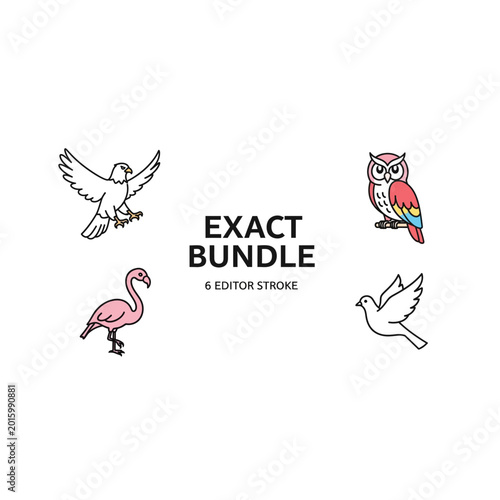 Birds of prey and exotic species illustration bundle with flamingo, illustration