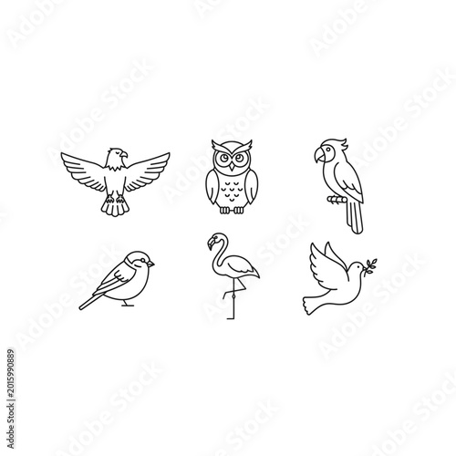 Selection of graphic bird icons and line drawings with illustration, collection