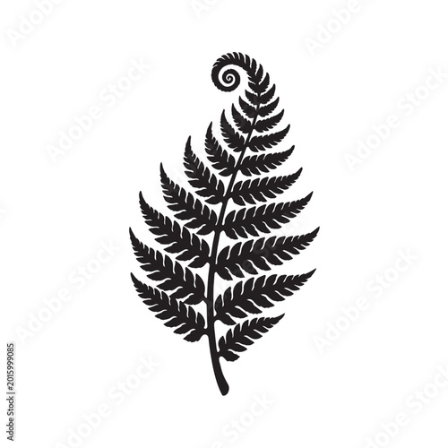 Bilde på lerret Silver fern leaf vector silhouette, black botanical frond icon on white backgrou