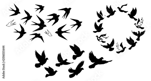 Bild auf Leinwand Modern Flying Bird Flock Vector Collection with Minimal Silhouette Designs