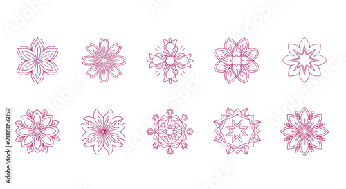Fotografie Collection of geometric floral designs in pink outline