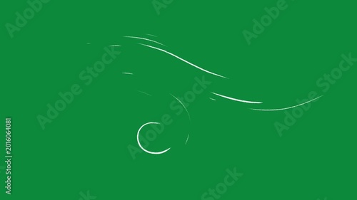 Hand-Drawn White Wind Lines 2D Animation on Green Screen | Gusty Doodle Swirls Animated Asset | Minimalist Nature Breeze Motion Graphic