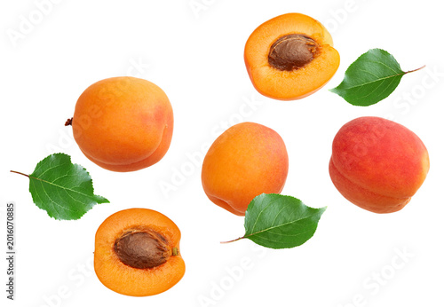 apricot fruits isolated on white background. clipping path