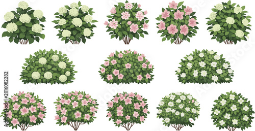 Flowering Bush and Garden Shrub Vector Collection with Pink and White Blossom Plants Illustration Set