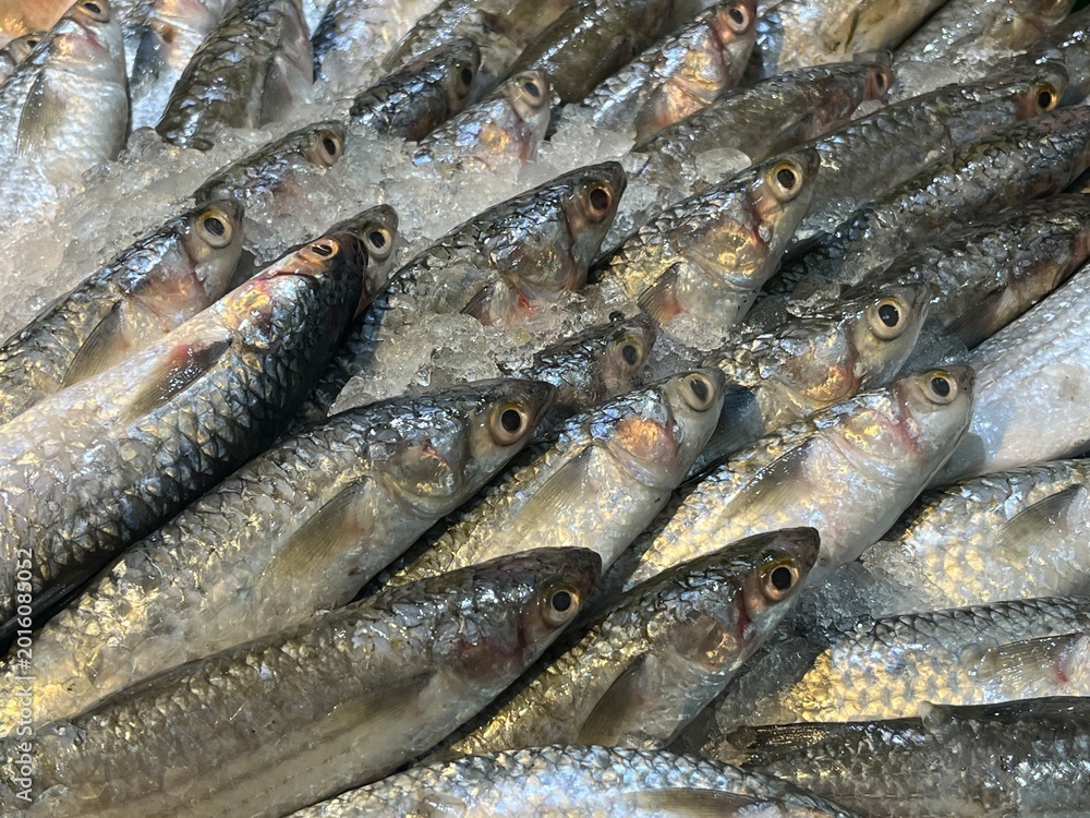 Obraz premium Fresh whole fish with silver scales on crushed ice at market