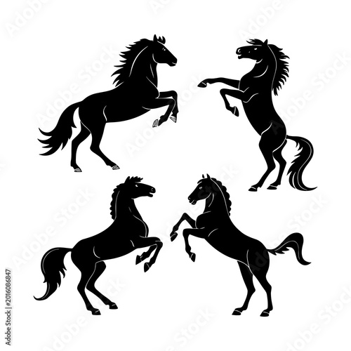 Cuadro en lienzo Four galloping horse silhouettes in dynamic motion against plain background
