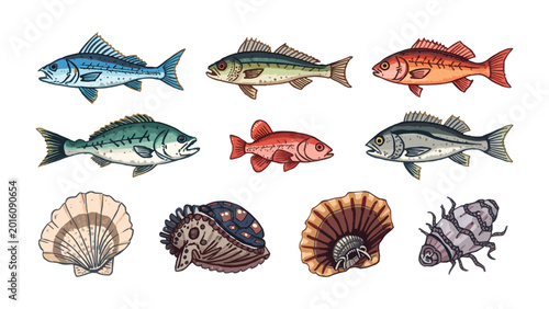 Obraz na płótnie Aquatic life collection: a variety of captivating marine creatures, artfully presented, inviting exploration into the ocean's wondrous life