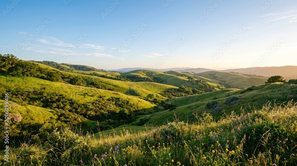 Fototapeta premium Serene Green Hills and Rolling Landscape with Blue Sky