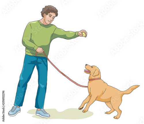 Man teaching Labrador dog to fetch tennis ball during outdoor training