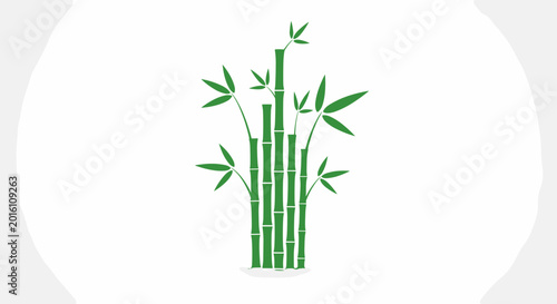 Bamboo plant with green leaves 2.