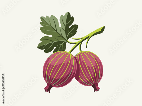 Bild auf Leinwand Botanical Illustration of Two Ripe Purple Gooseberries with Green Leaves Isolate