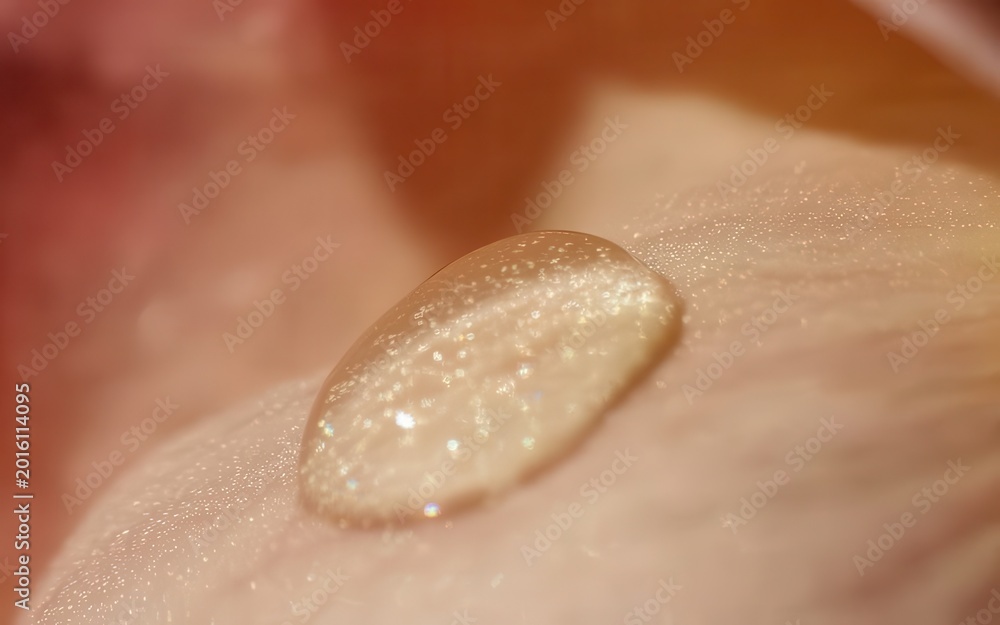 Fototapeta premium Close-Up of Water Droplet on Petal