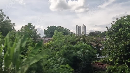 Jungle at Malay Peninsula, Malaysia