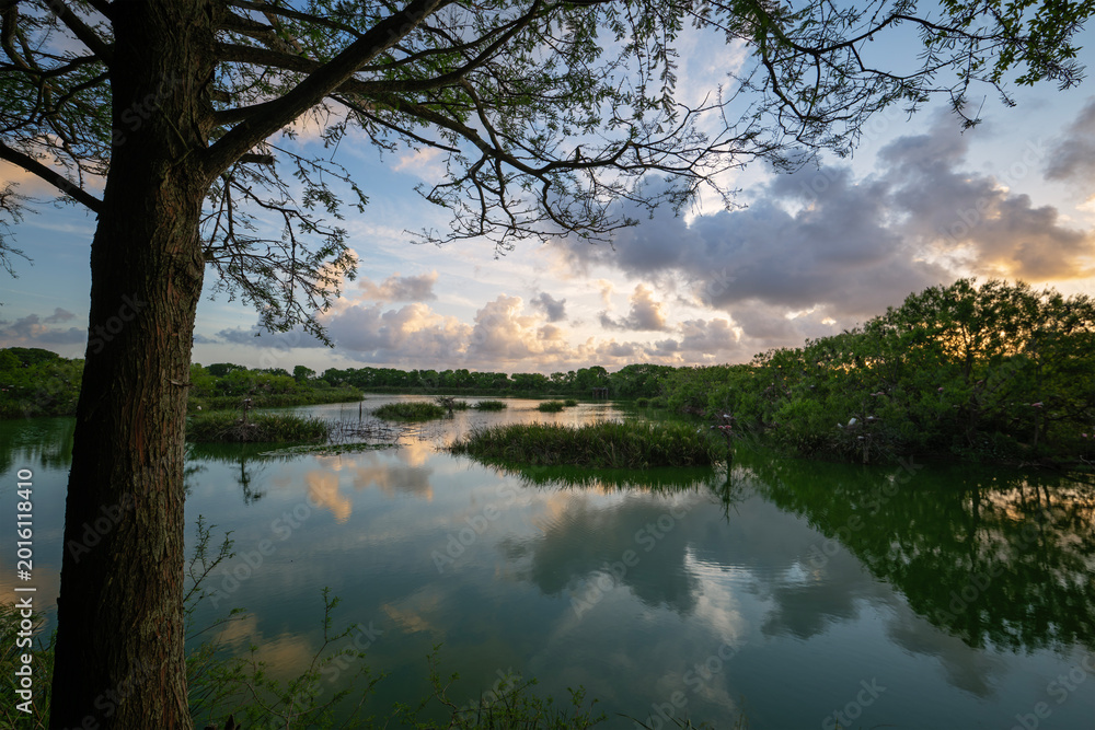 Fototapeta premium High Island Rookery at sunrise