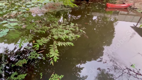 Calm garden pond with peaceful natural environment