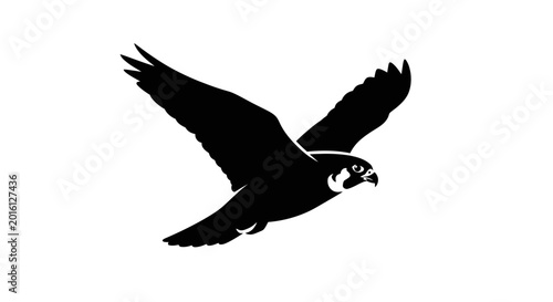 Minimalist silhouette of a peregrine falcon in flight.