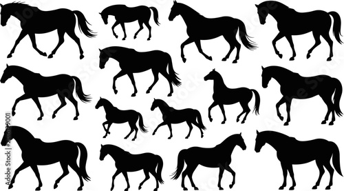 Schilderij op canvas Black Horse Silhouette Collection with Walking Trotting and Galloping Pose Anima