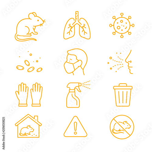 Hantavirus prevention icons including mouse, lungs, and health precautions  
