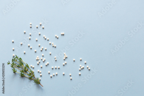 Photos Homeopathic pills and branch with herbaceous thyme branch on a blue background