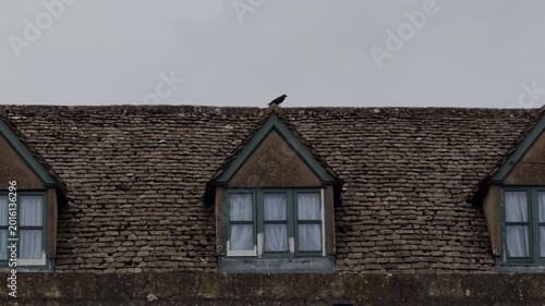 Tranquil raven walking atop a typical English rooftop under cloudy sky