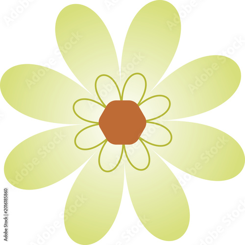 Minimalist Floral Vector Illustrations