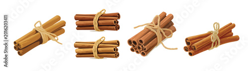Collection of Realistic cinnamon sticks tied with string illustrations set, Clean vector set ideal for packaging, label, and product design, Vector illustration of vector design