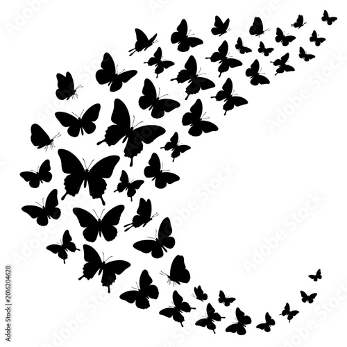A flock of butterflies flies in formation against a plain background.