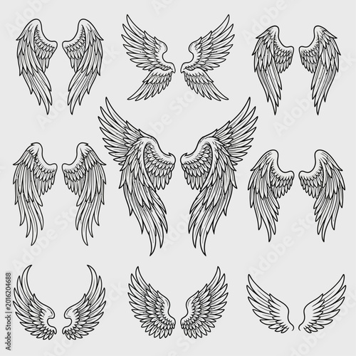 Detailed illustrations of various wing designs in a graphic art style.