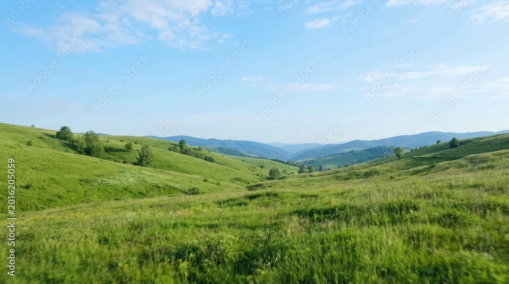 Fototapeta premium Serene Green Landscape of Rolling Hills and Blue Sky