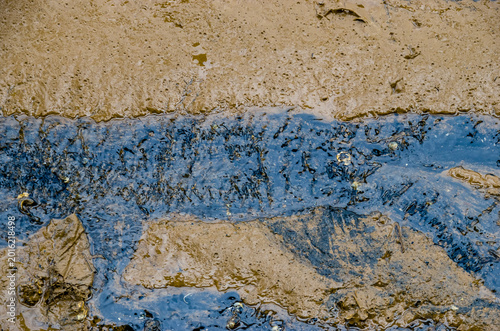 El vuelvepiedras rojizo (Arenaria interpres) es un pequeño pájaro zancudo cosmopolita, una de las dos especies de vuelvepiedras del género Arenaria