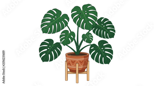 A vibrant Monstera plant displays its distinctive large green split leaves thriving within a decorative textured terracotta pot resting on an attractive wooden stand bringing natural beauty to