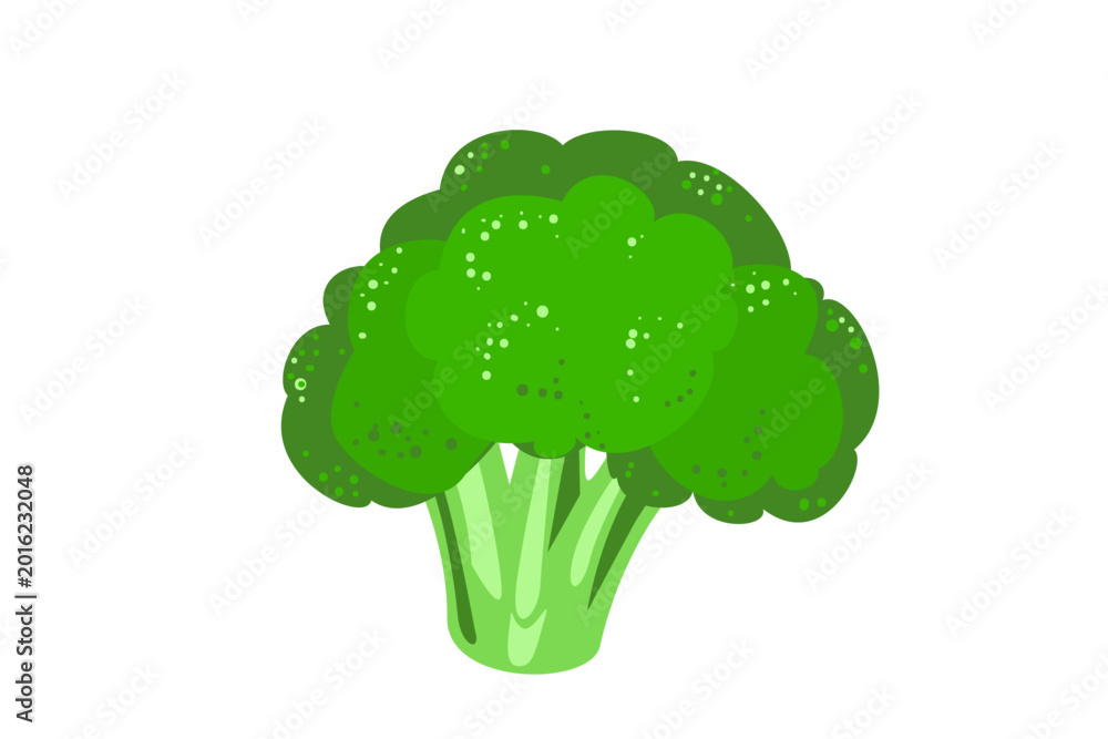 Φωτογραφία Fresh green broccoli isolated on white background