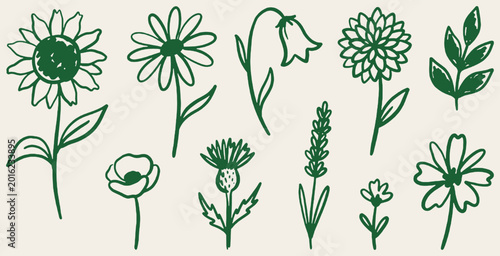 Bild auf Leinwand Set of hand-drawn green floral elements and flowers, perfect for spring and nature-themed designs