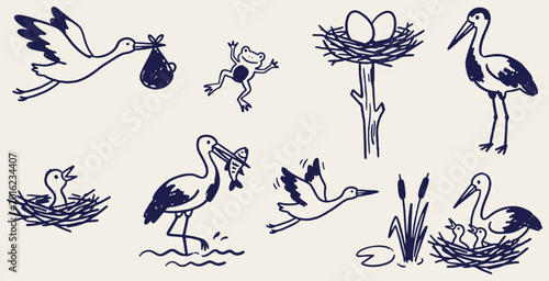 Set of hand-drawn storks, nests, and frog illustrations, depicting nature and wildlife scenes.