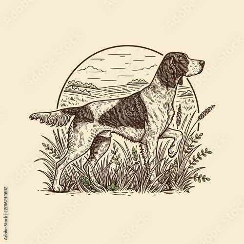 Elegant English Setter Hunting Dog in Field Engraving Style.