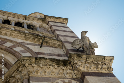 Grosseto cathedral detail