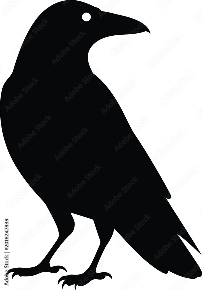 Fototapeta premium Black silhouette of a raven standing 
