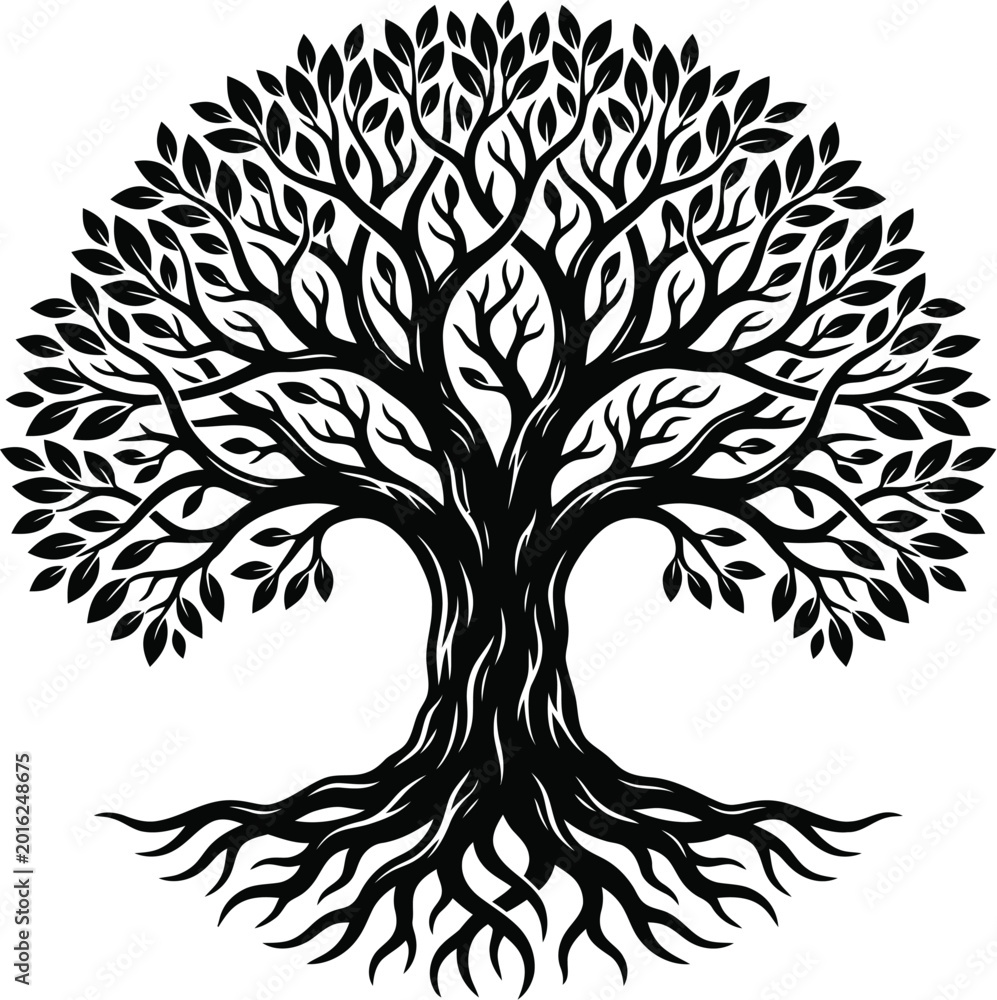 Obraz premium Tree silhouette with leaves and roots on white background
