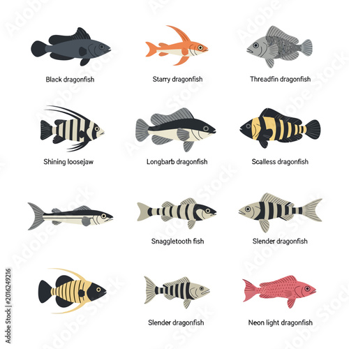 Fotografi Detailed Structural Illustration of a Stomiidae Dragonfish Creature Isolated on