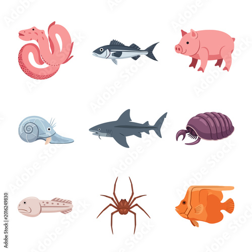 Photos Deep Water Benthic Scavengers in Their Natural Marine Environment