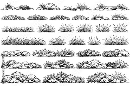 Botanical Ground Cover CAD Drawings Collection