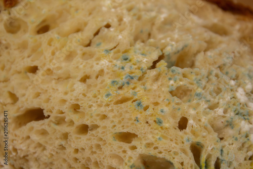 Foto Moldy bread showing blue-green fungus growth on a spoiled slice