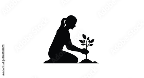 Woman planting a young tree seedling environmental conservation silhouette