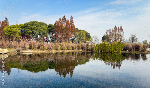 Foto Tranquil Reflection: A Serene Lakeside Landscape Under Clear Blue Skies